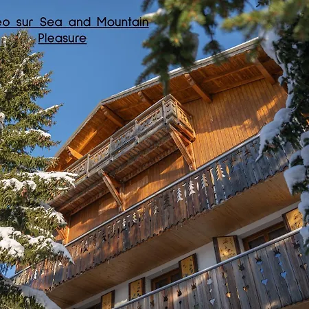 1850-sea And Mountain Pleasure Avec 2 Appartements- 1 3 8 Couchages - 3 Salles D'eau Et 1 5 12 Couchages 5 Salles D'eau - Jacuzzi Et Sauna -pieds Des Pistes Et Centre Apartment
